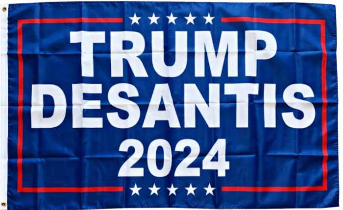 Free Trump Desantis 2024 flag