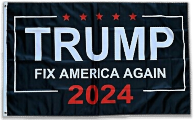 Free Trump 2024 Take America Back Flag